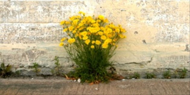 God on a Mission: The Missional Church and Why it Matters